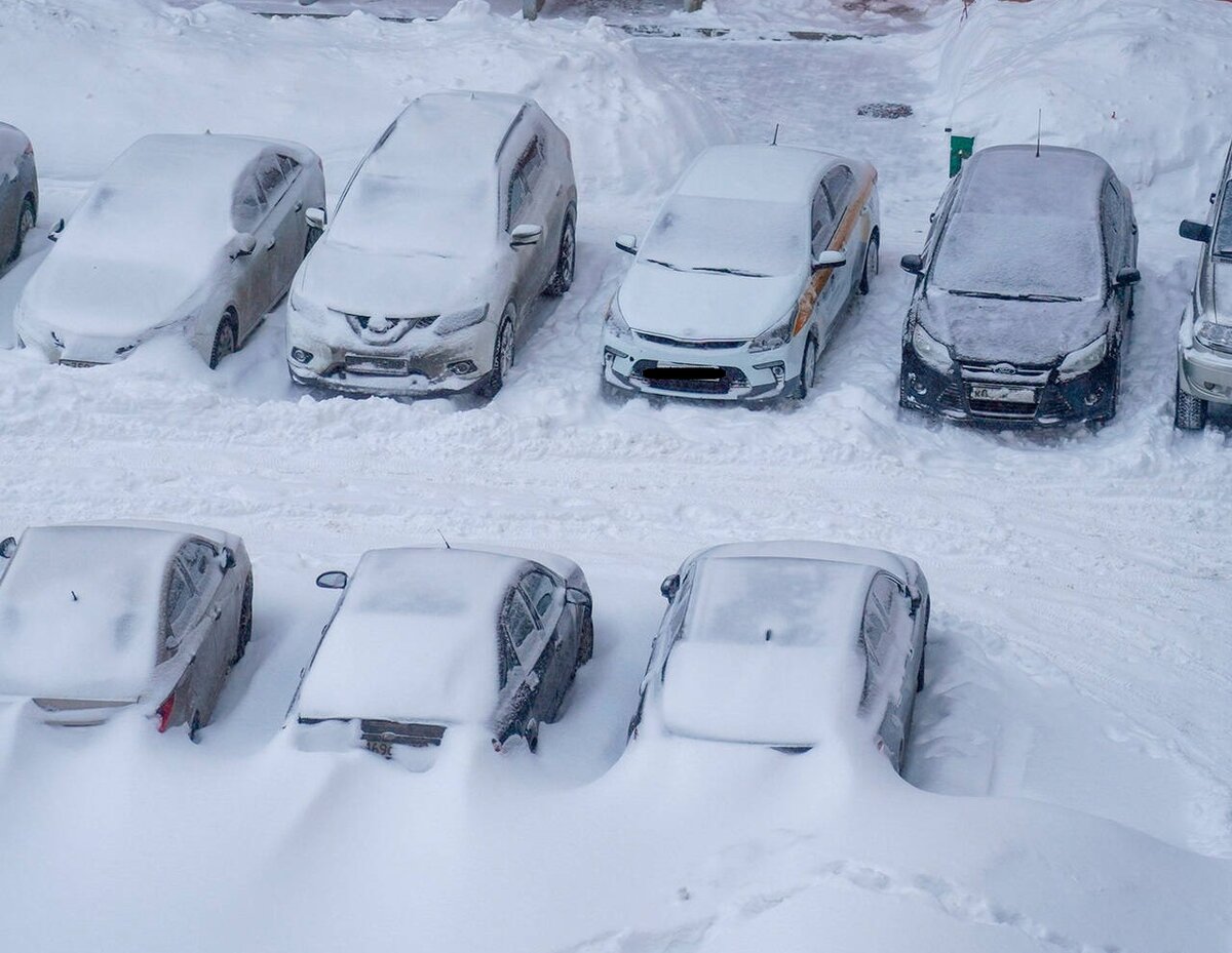 завалило москву снегом