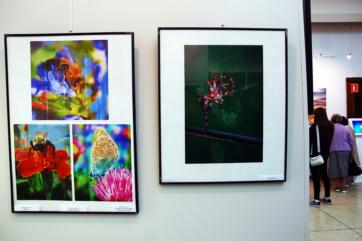 Работы. Листайте