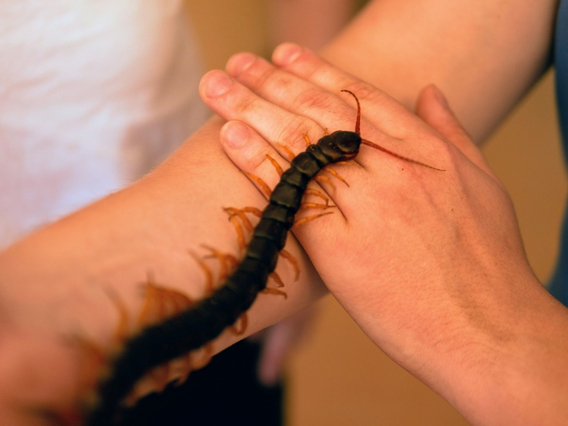 Автор фото: Ксюша Малышевская