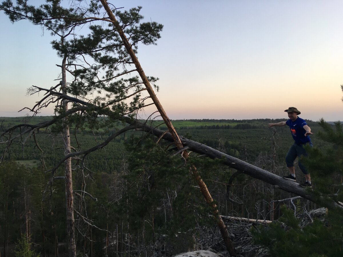 Вечер в лесу...