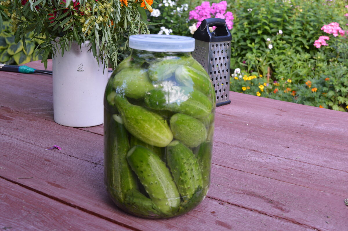 Фото 2018 года.