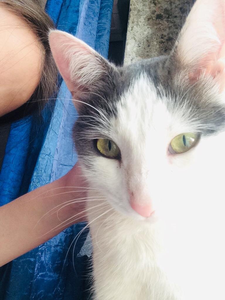 Моя скромница Буся с удивительными глазами. 