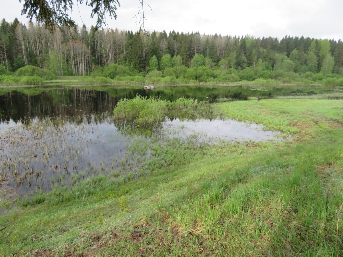 Вот так выглядит водоем)
