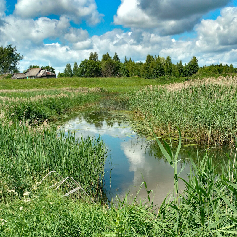 Речка Касня