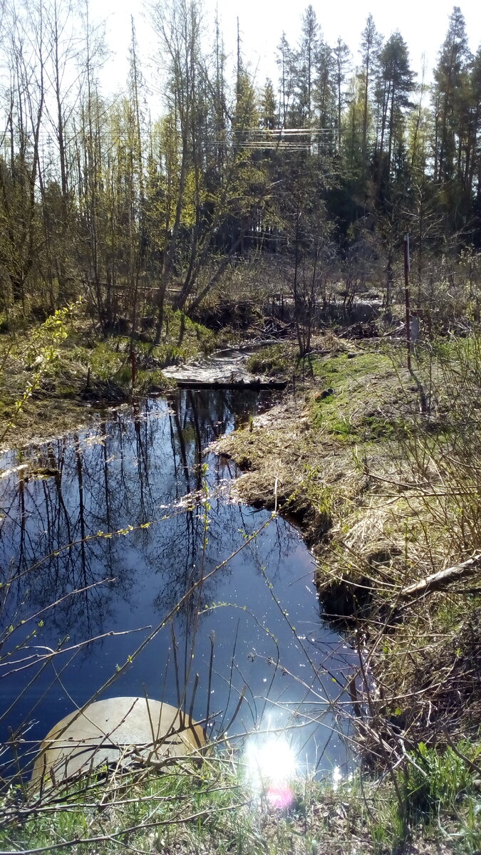 Фото апрель в средней полосе