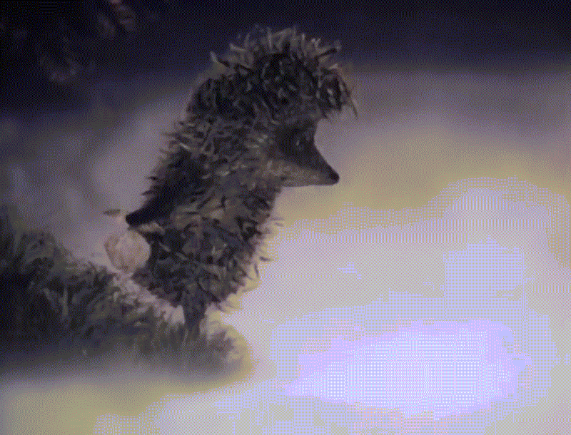 Фрагмент из мультфильма «Ежик в тумане»