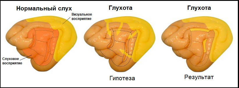 Источник: National Geographic