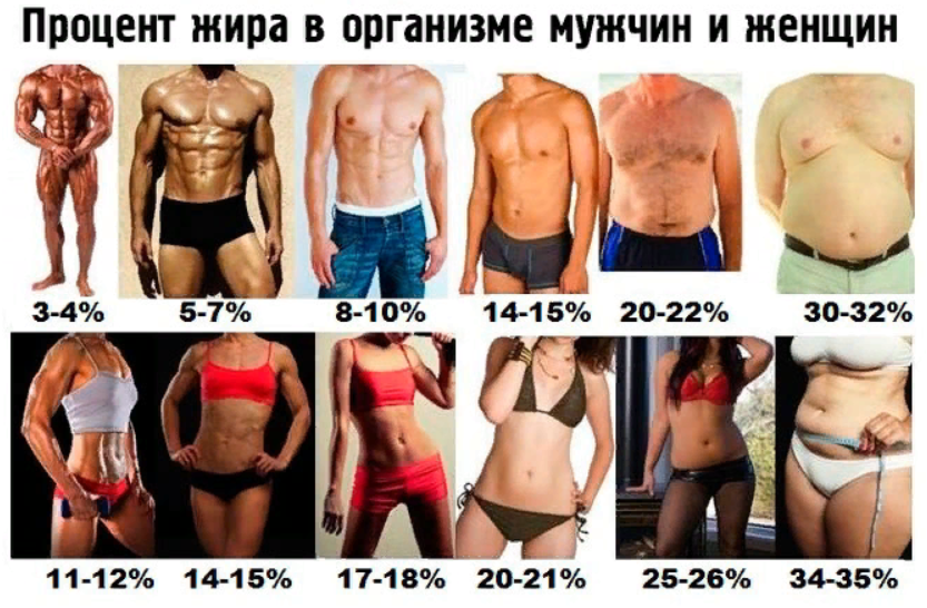 15 процентов жира