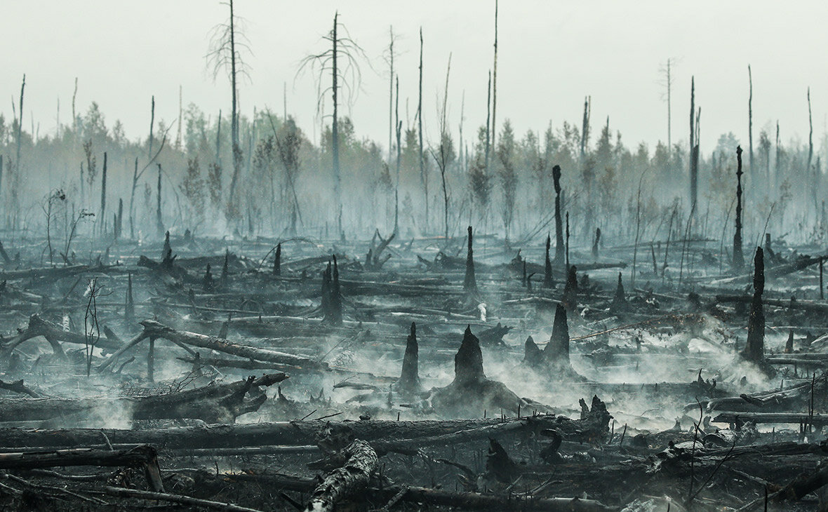 Фото: Александр Рюмин / ТАСС 