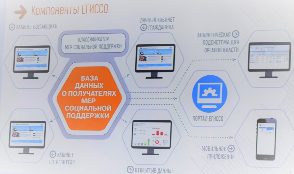 Компоненты Единой государственной информационной системы социального обеспечения