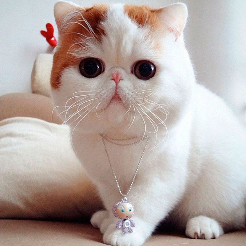 Японский кот Снупи 