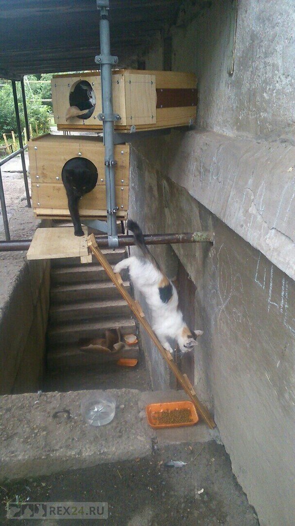 Фото: Наталья Ануфриева