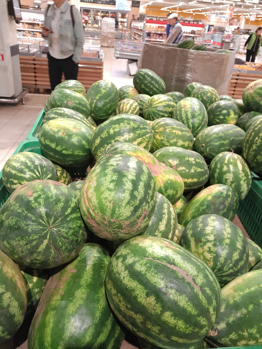 Бахча арбузная. Фура с арбузами. Арбуз краснодар. Фито арбузы на беларусь. Арбузы оптом от дистрибьютора.