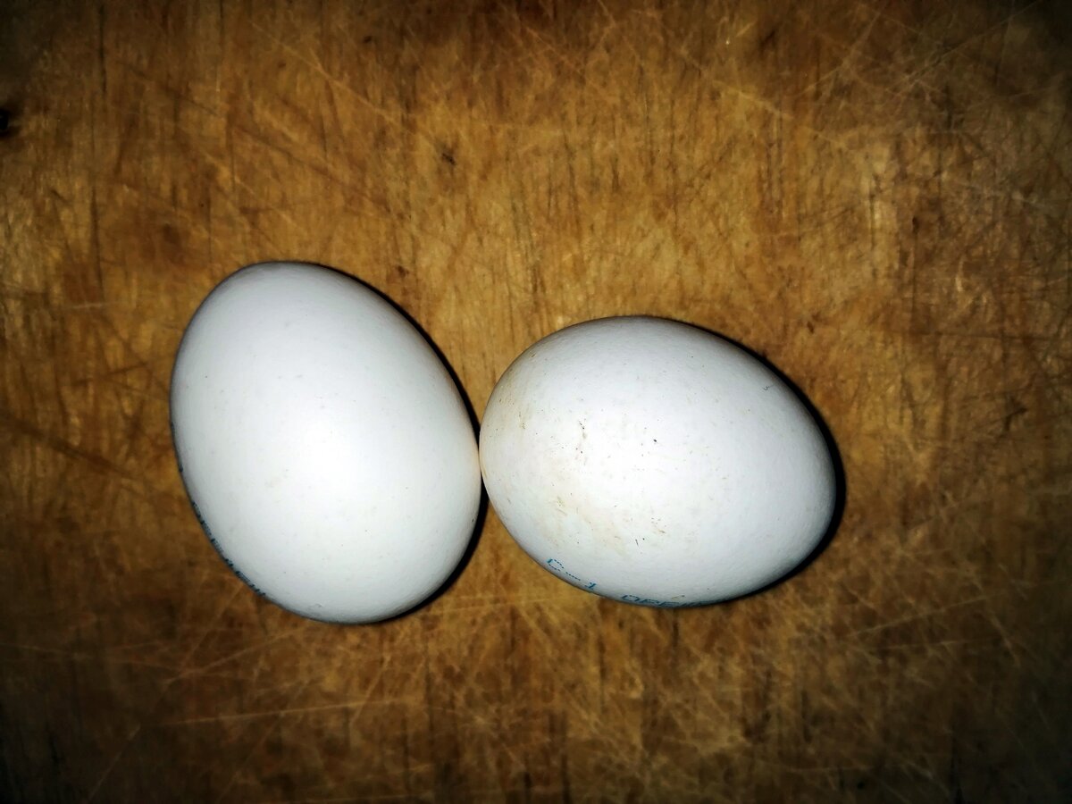 Те самые два яйца