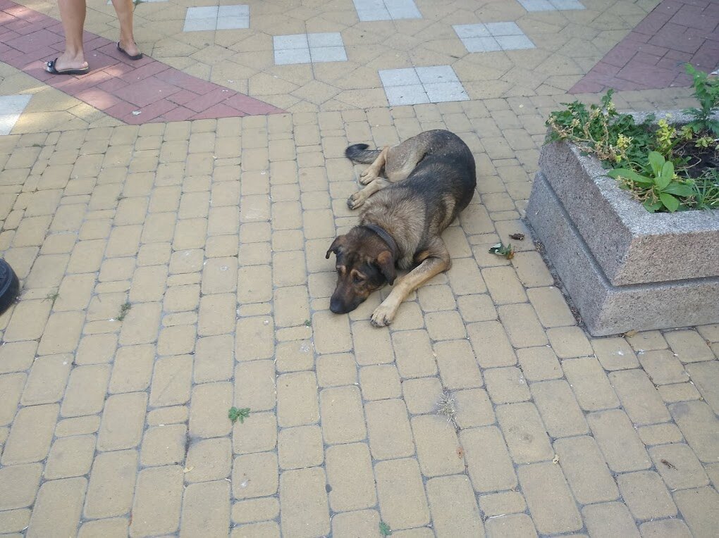 фото автора