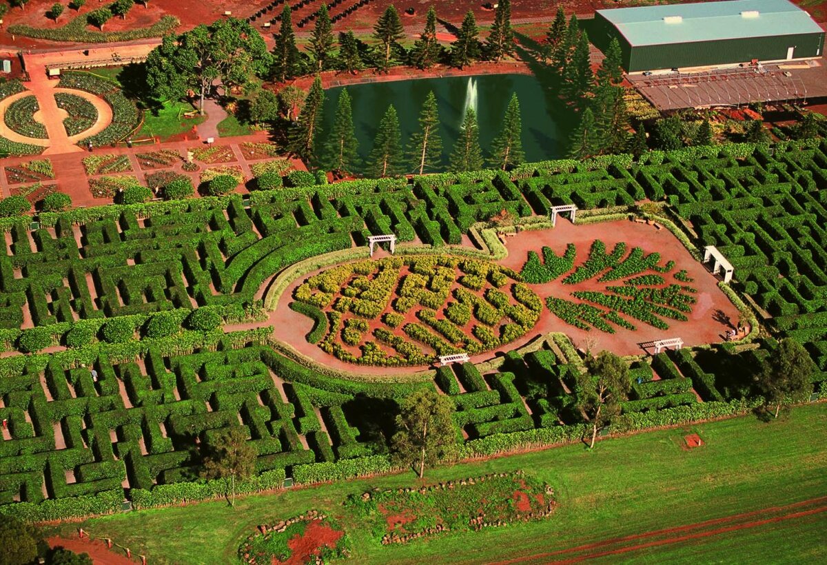 Лабиринт Dole Plantation