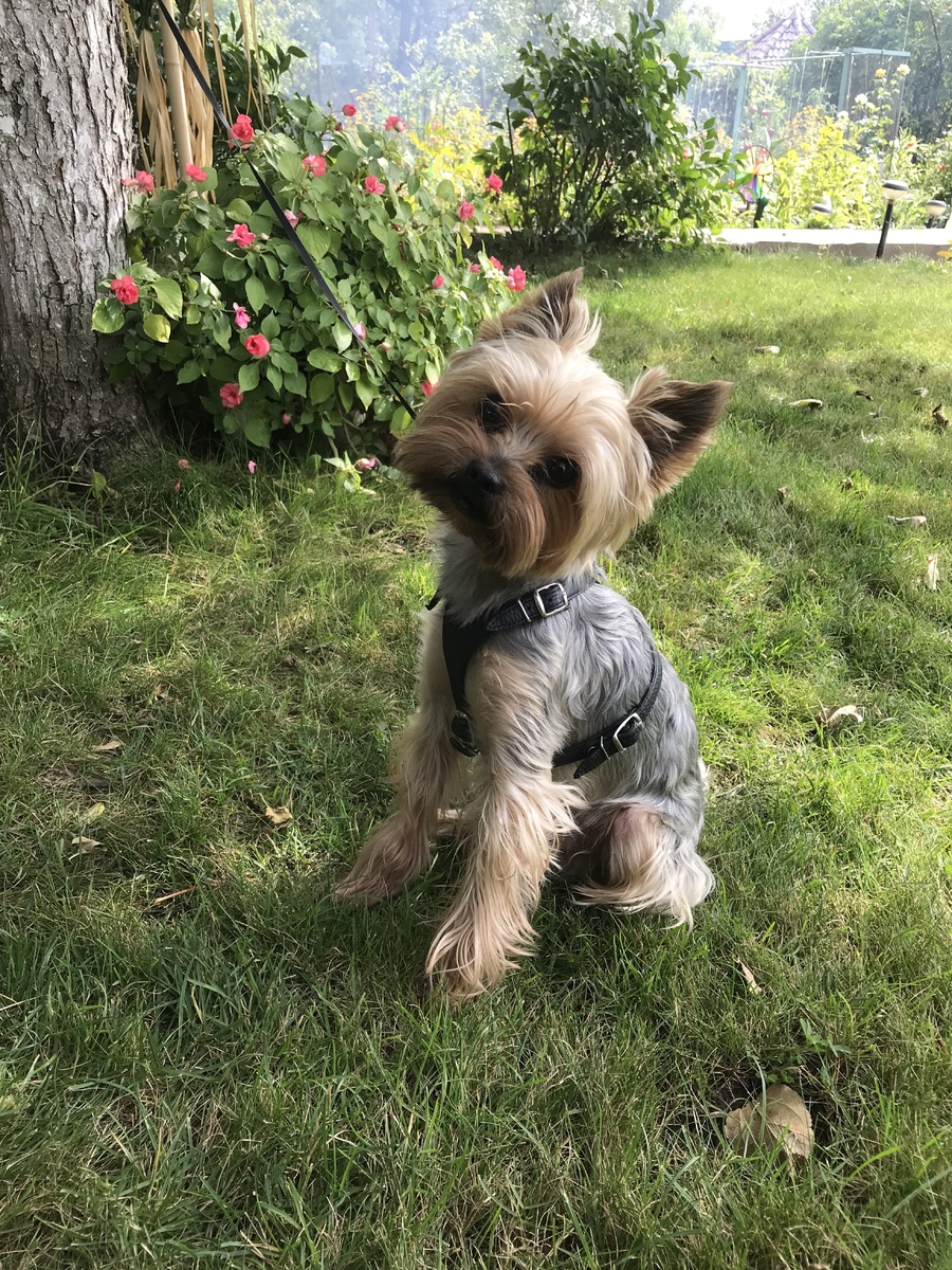 Сегодня поговорим на одну довольно деликатную тему!