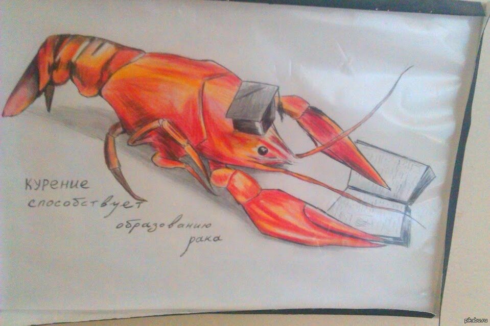 
Источник изображения