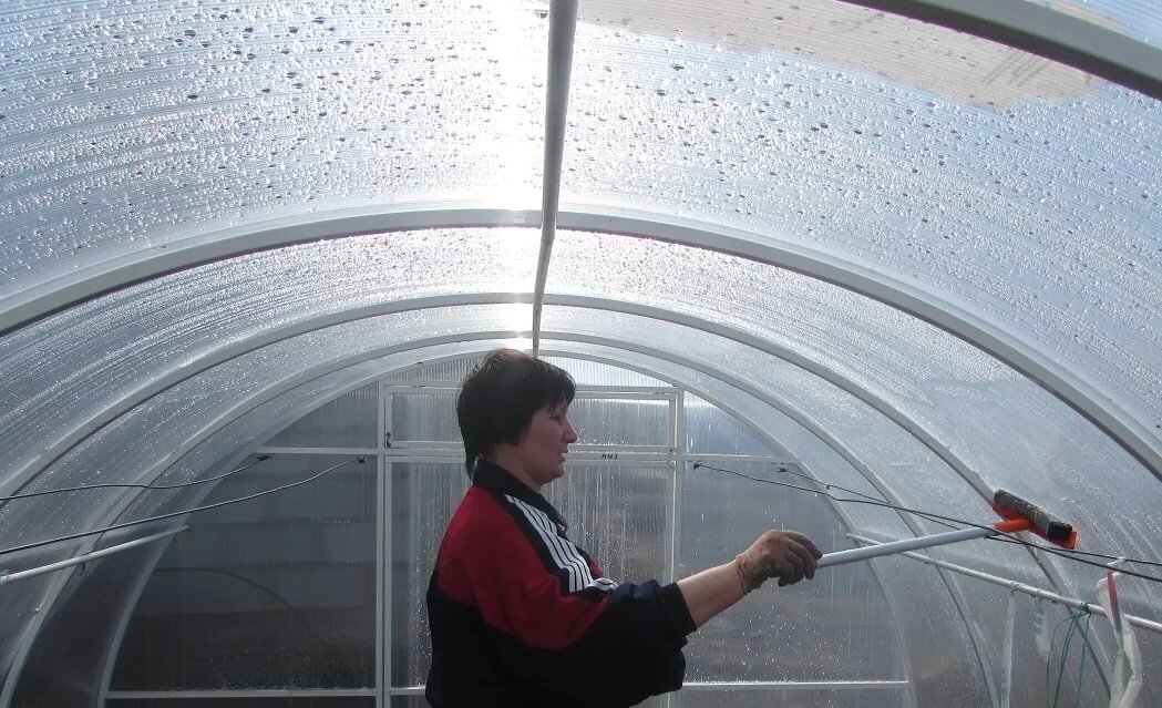 моем поликарбонат