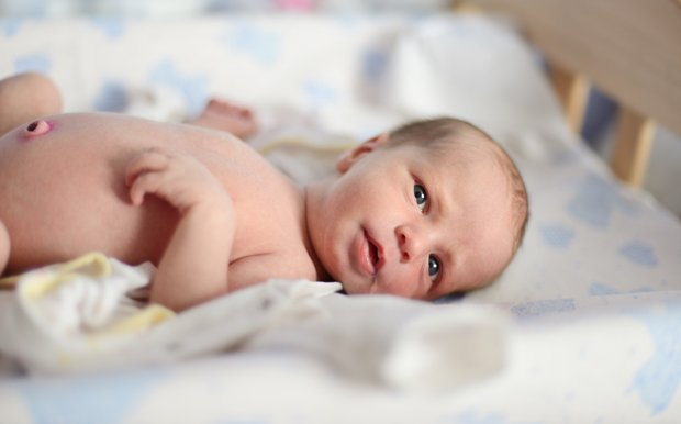 Photo por: Reanas / Depositphotos