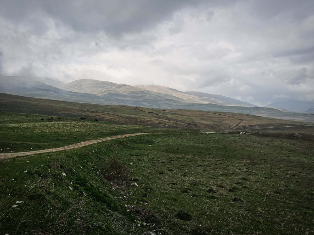 Чечня. Окрестности аула Макажой