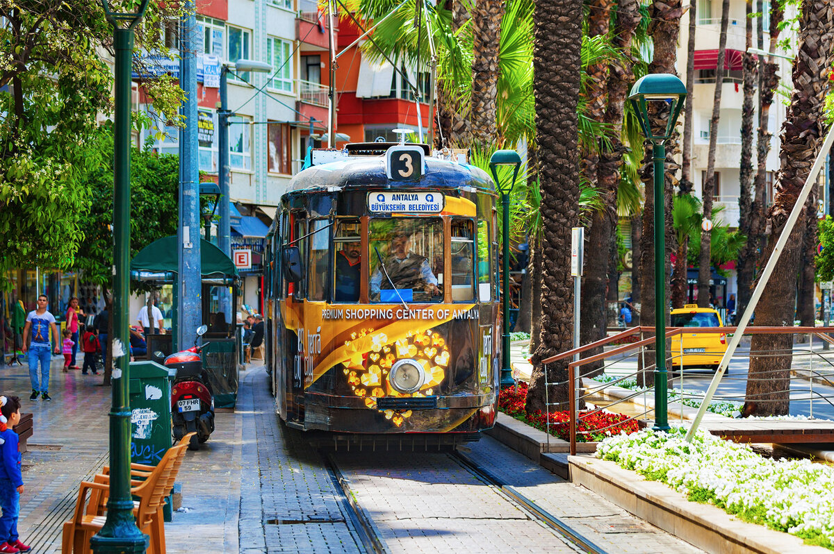  Фото: IgorZh / Shutterstock.com