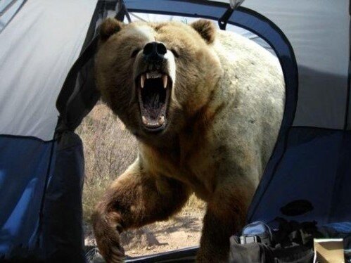 Фото взято из открытого источника в Интернете.