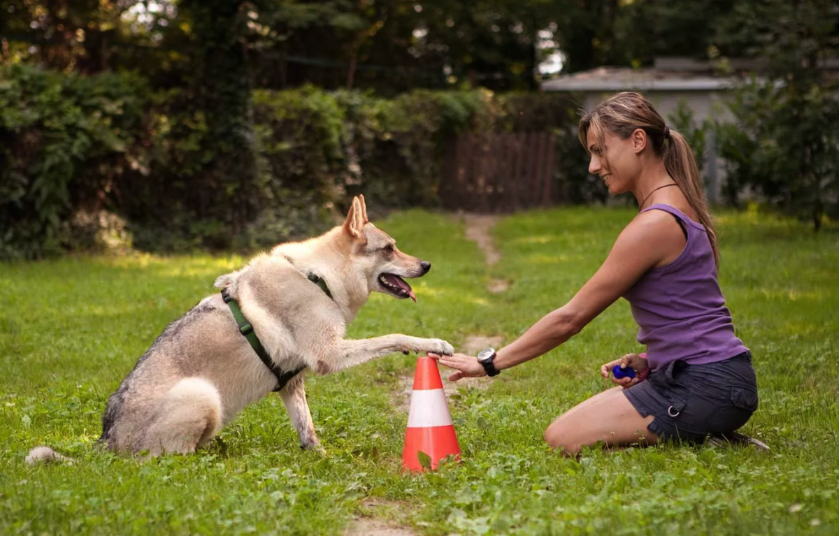 Фото взято с открытых источников на Яндекс.картинки 