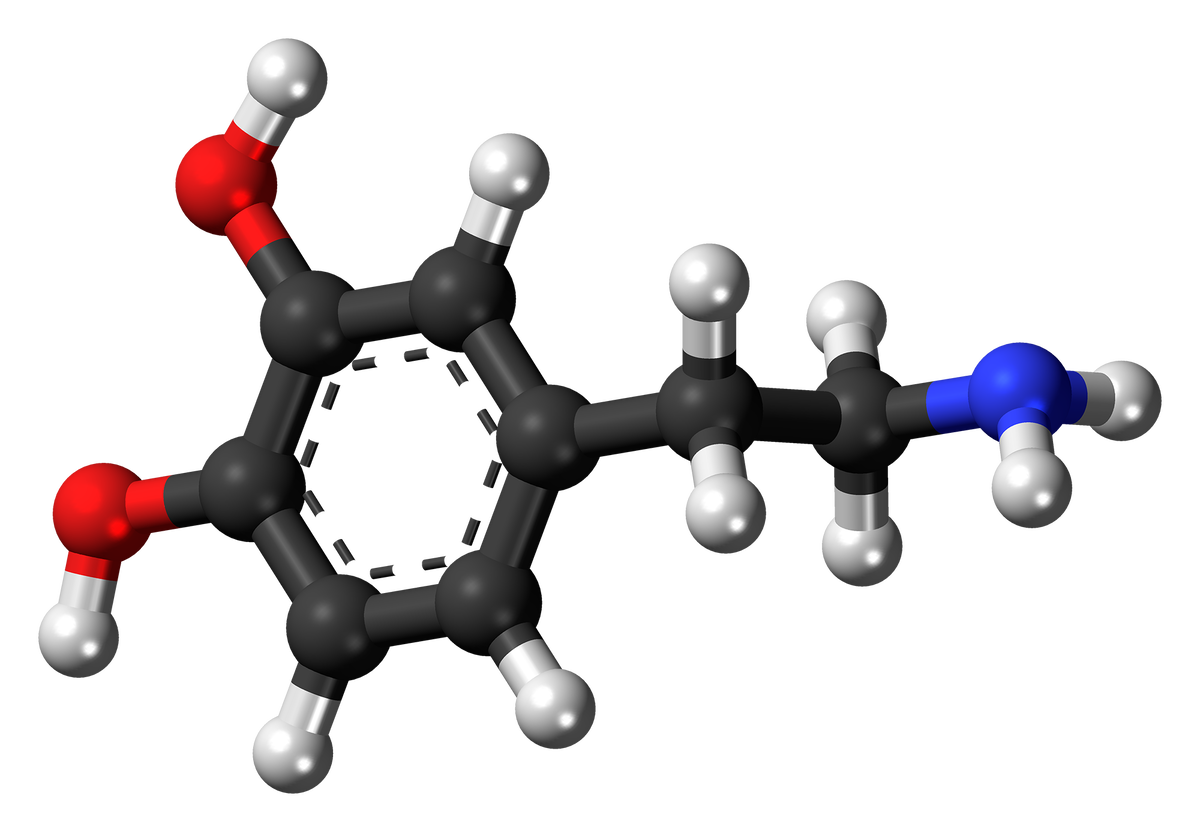 Молекула Дофамина