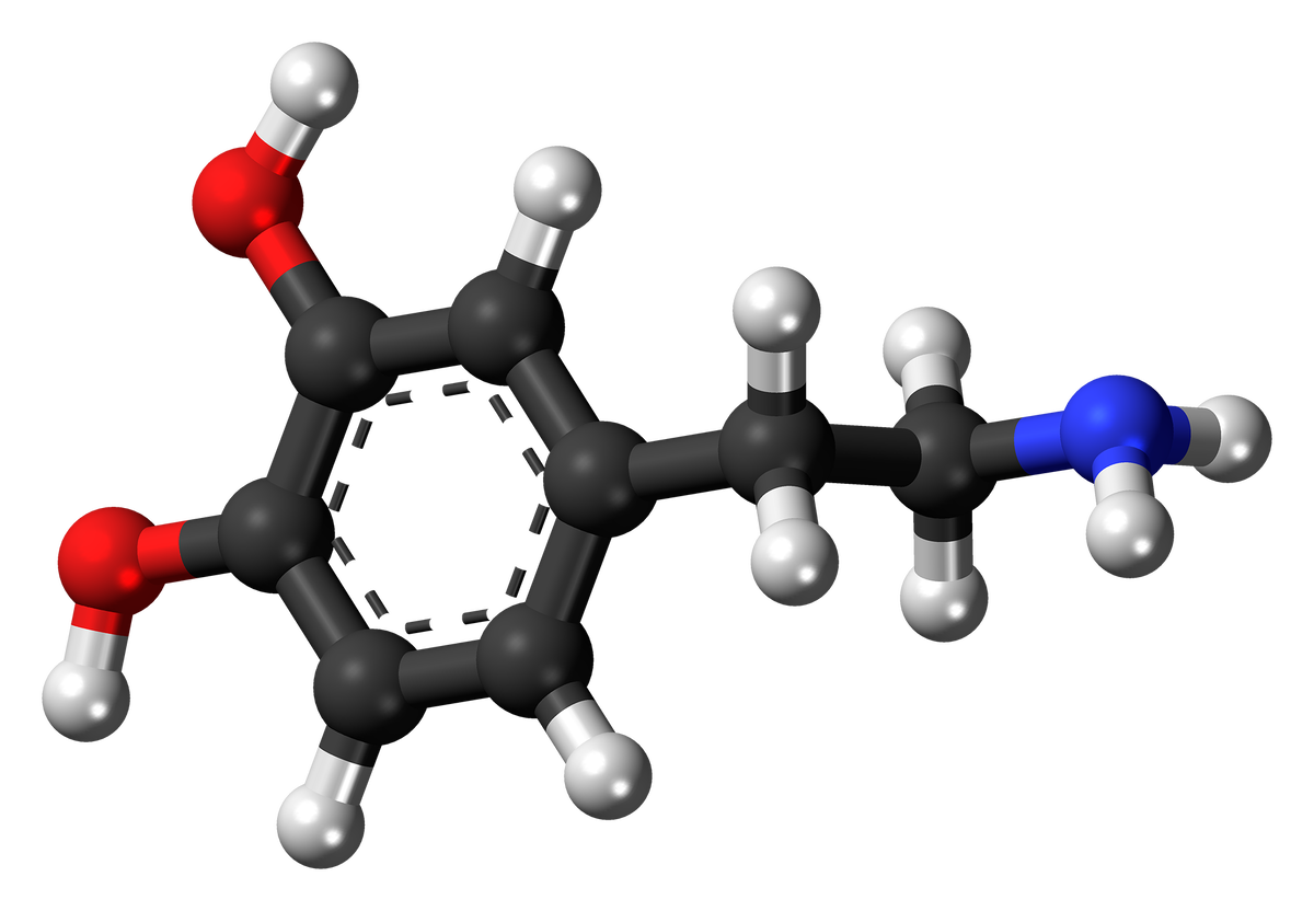 Новая молекула. Молекула дофамина. Молекула дофамина формула. Гормон дофамин молекула. Молекулы дофамина 3d.