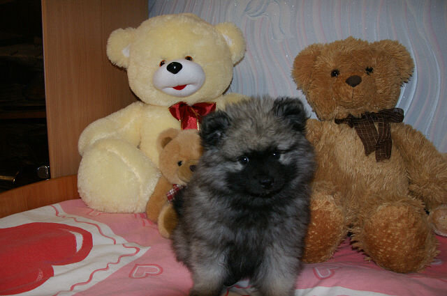 Моночке 3 месяца