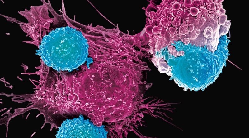 portalinet.ru/page/6/