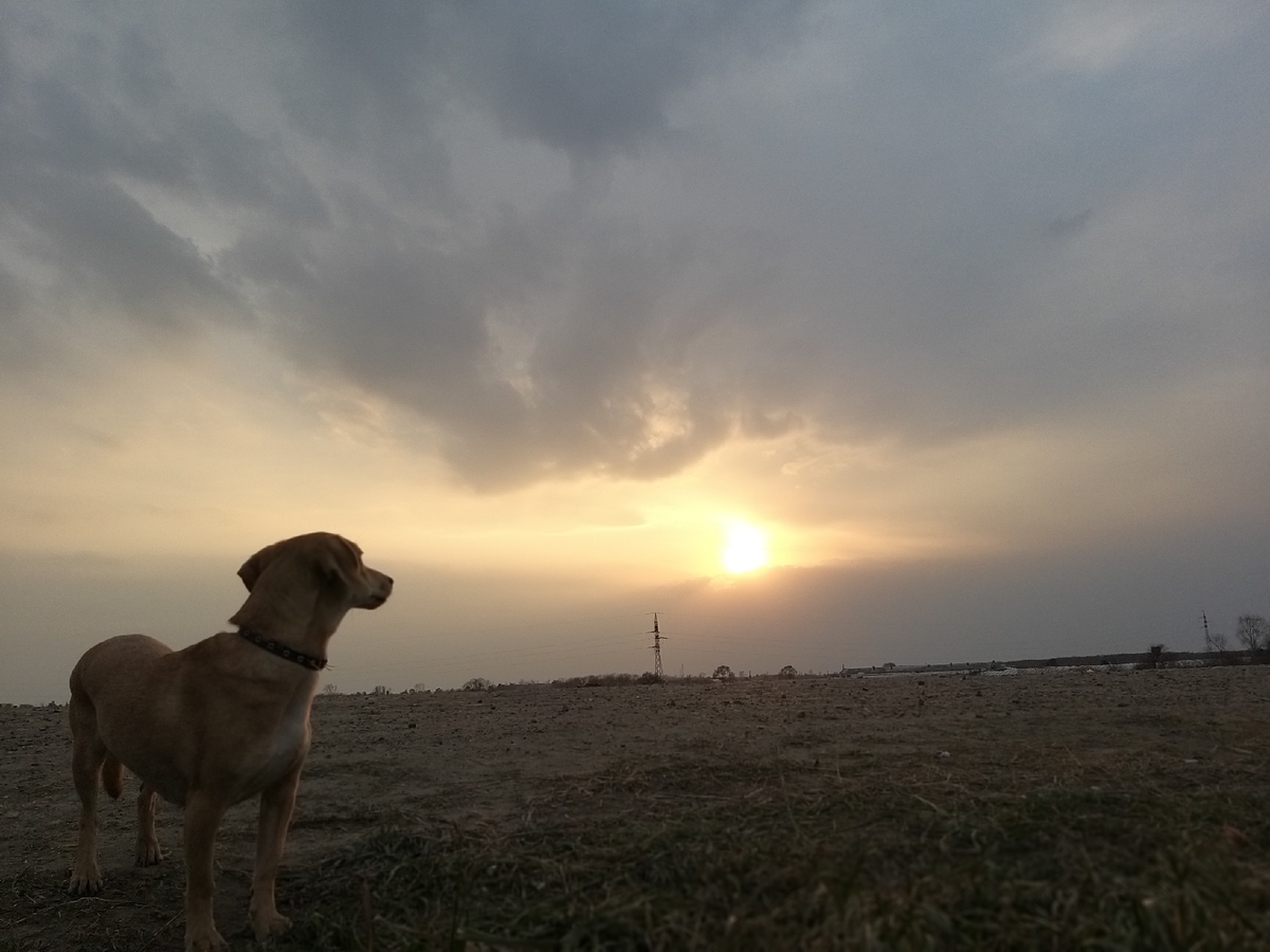 Закат притягивает взгляд