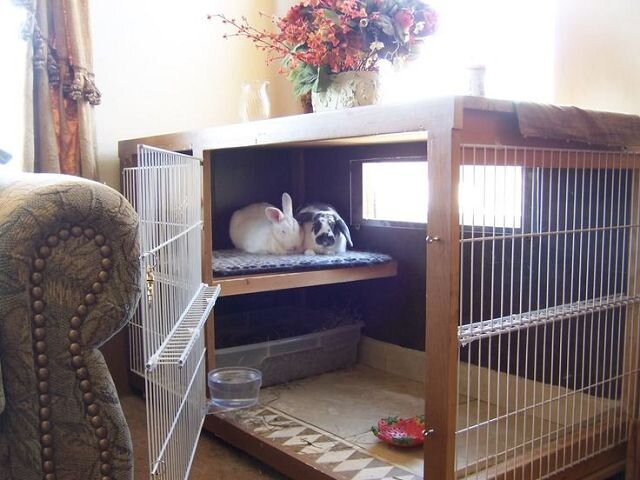 Клетка для декоративного кролика - Наши Кролики