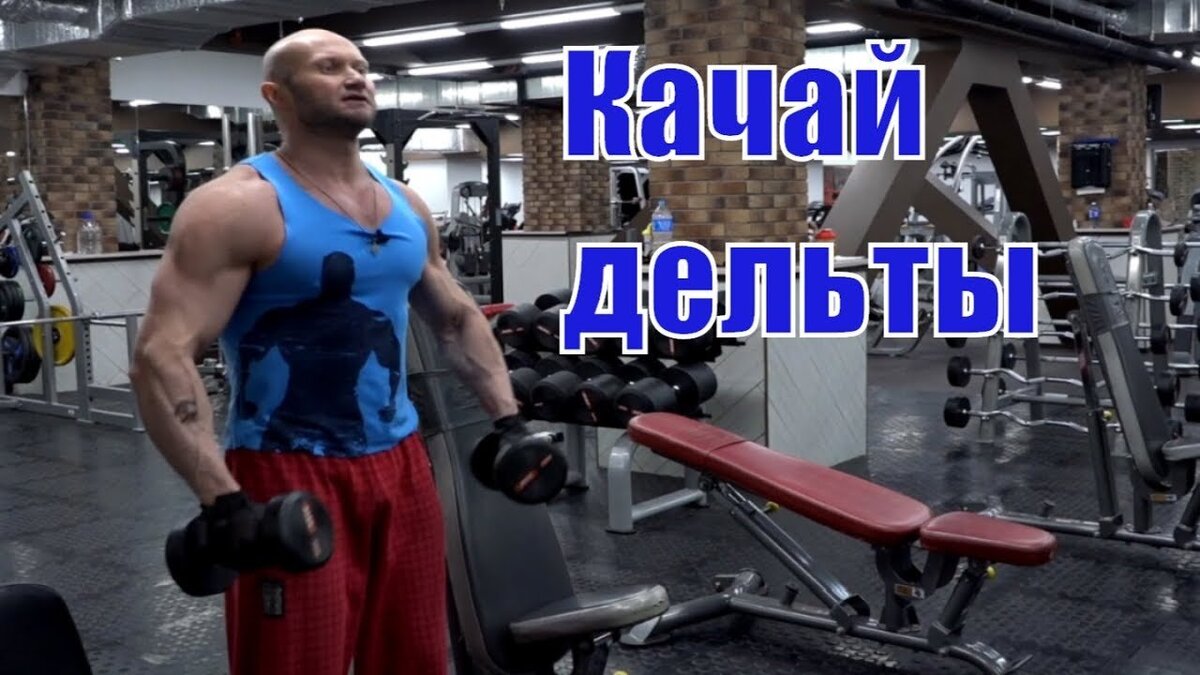 Задняя Дельта бодибилдинг