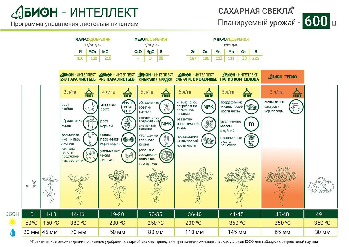 Схема защиты сахарной свеклы байер