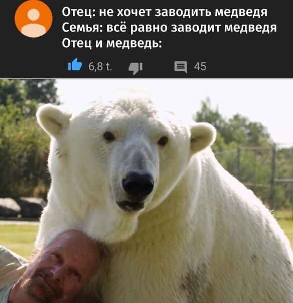 Отец и медведь