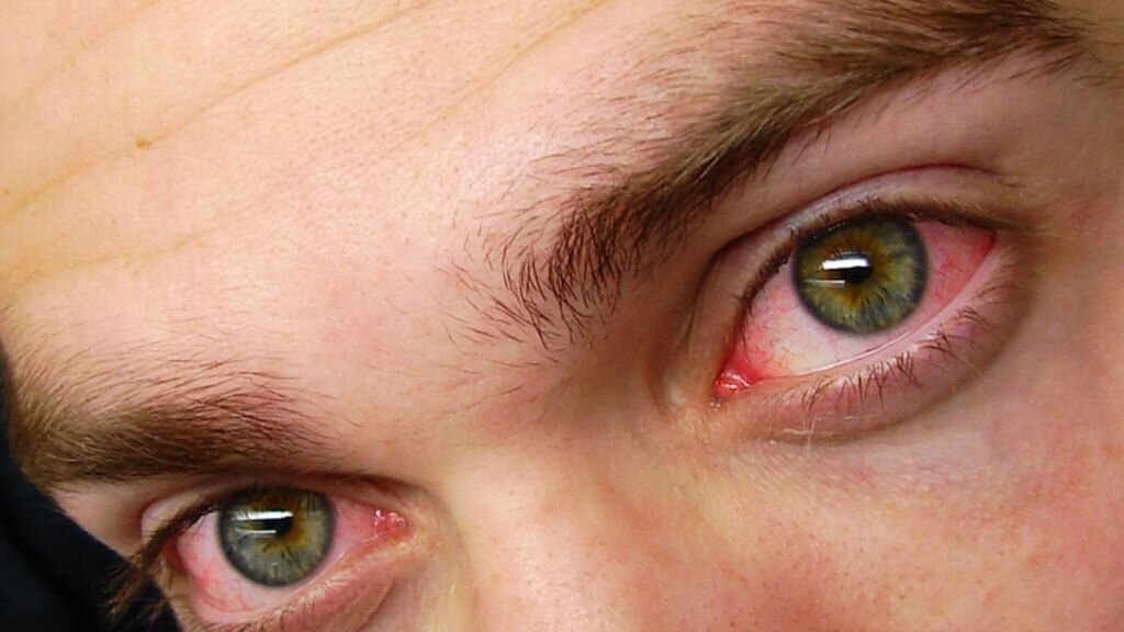 фото взято из открытых источников информации