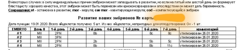 Из рассылки на 7-ой день после пункции. Сначала развивались, а потом замерли