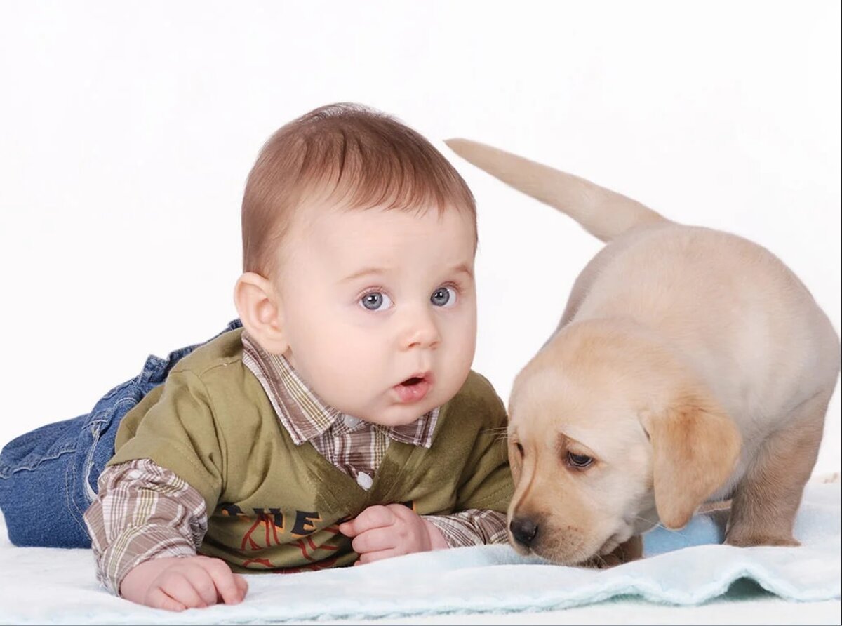 Четвероногие друзья 2021, Ступинский район - дата и место проведения, программа 