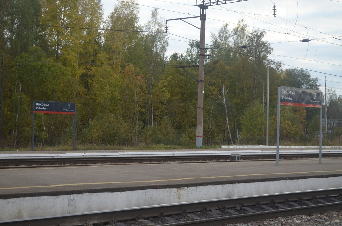 Платформы, пути и лес: все, что надо - рядом. :) 