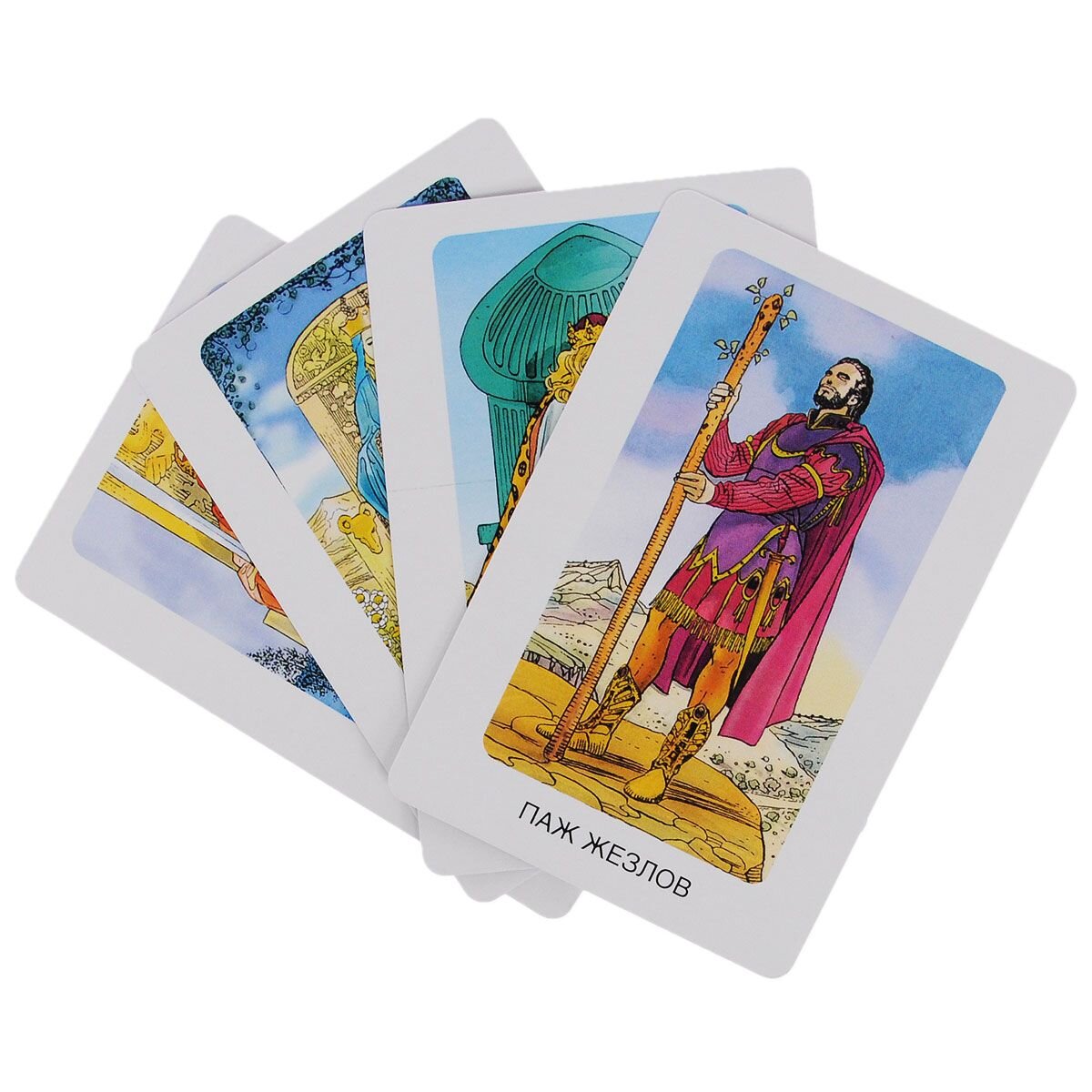 Фото с сайта https://cdn1.ozone.ru/