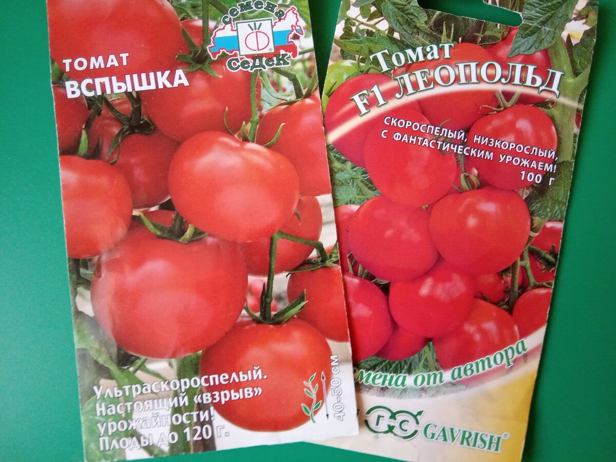 Сорта томатов соседская зависть. Томат соседская зависть f1. Сорт помидор соседская зависть.