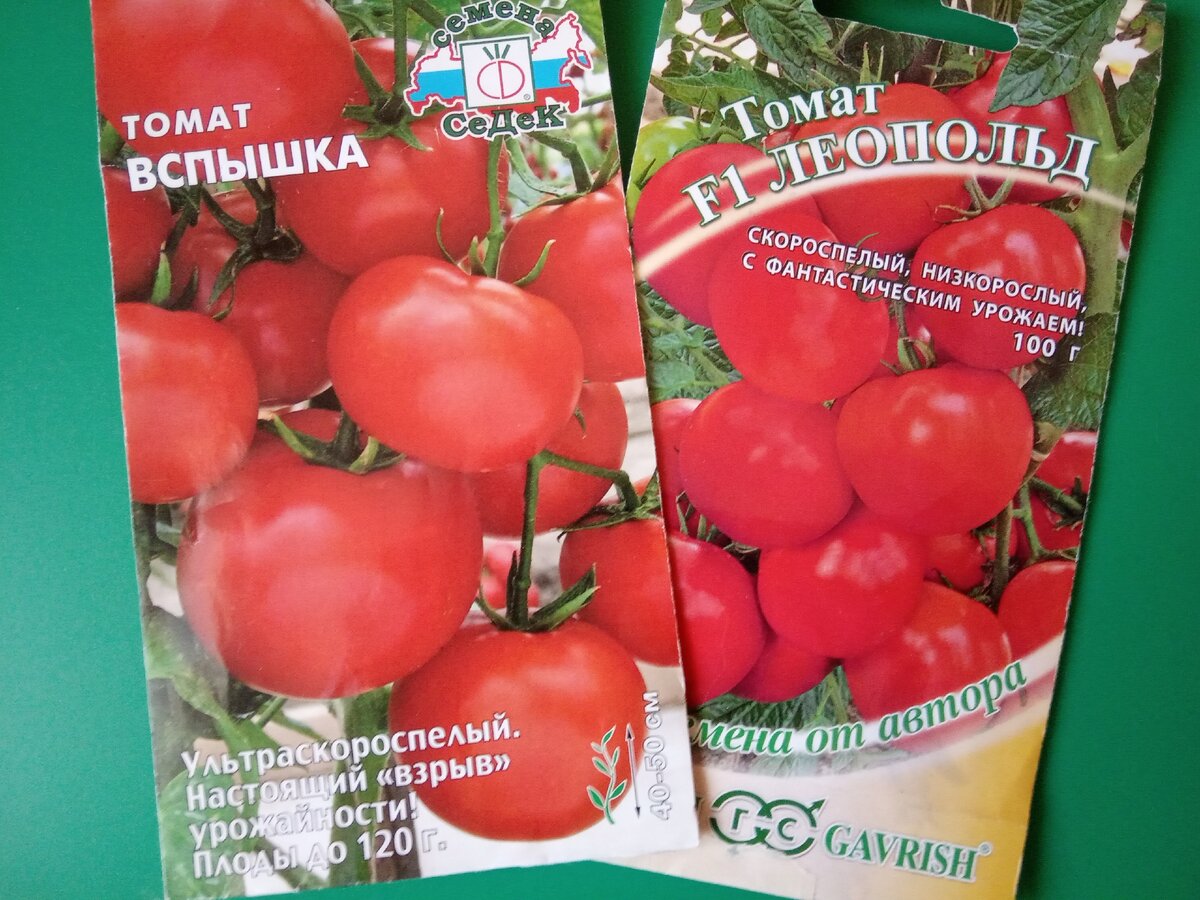 Сорт томата соседская. Томат соседская зависть f1. Сорт помидор соседская зависть.
