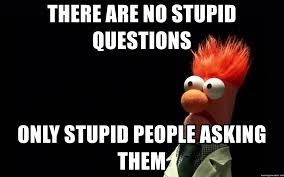 Нет тупых вопросов - только тупые люди, которые их задают (более радикальная позиция)