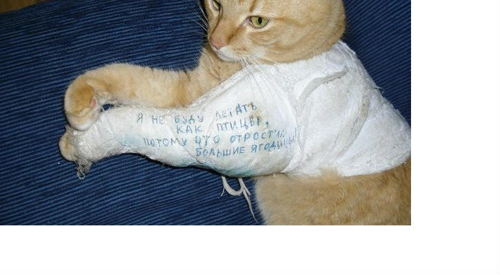 Вот теперь какой он красавчик!