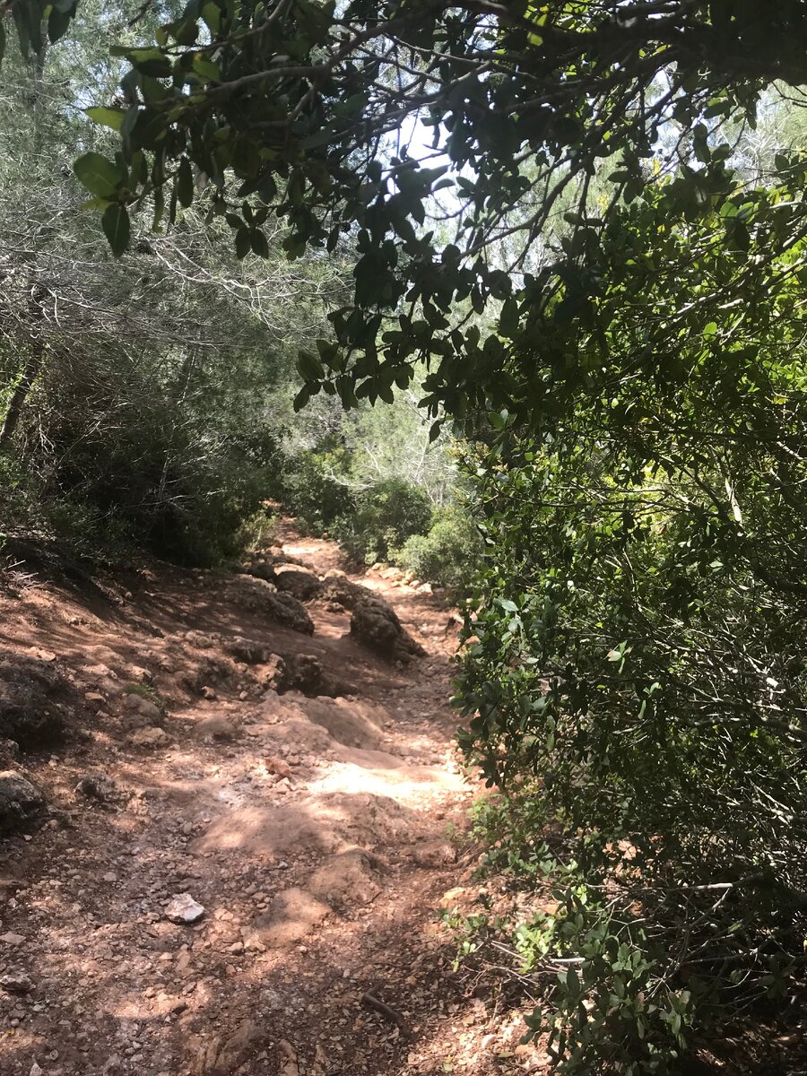 Весь национальный парк протоптан дорожками, где-то они выложены камнем, ступеньками, где-то просто тропинки. А где-то нужно идти по валунам.