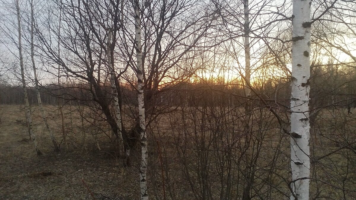 автор фото Александр 🛠