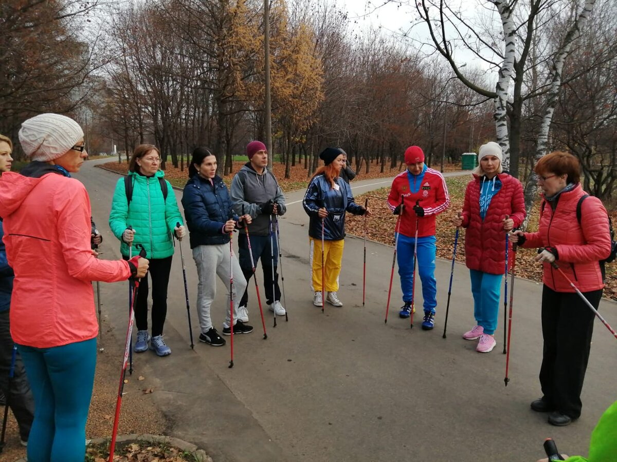 Скандинавская ходьба в Сосновом лесу