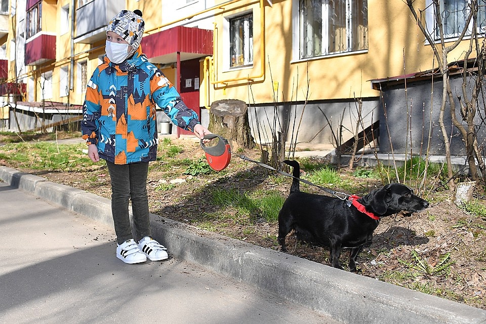 Среди них - может ли любимый песик стать переносчиком COVID-2019 от любимой собаки и можно ли брать питомцев людей, увезенных с инфекцией в больницу, и вообще - как выгуливать собаку в Москве в период самоизоляции СЕМЕН ЕЛЕНИН Поделиться: Ежедневная рассылка новостей KP.RU Комментарии: comments1Сегодня роста респираторных инфекций у кошек и собак не наблюдается. Нет поводов, чтобы избавляться от питомцев . В последнее время в Сети гуляет немало то ли баек, то ли реальных фактов о коронавирусе, подхваченном человеком от своего домашнего питомца. Писали вот, например, что в Китае «корону» нашли у кошек. И народ якобы бросился вышвыривать из домов своих кошек, которые могли стать переносчиками заразы. И вообще про общение с песиками-кисками вопросов немало. Москвичи, например, каждый день названивают в столичный Комитет по ветеринарии с расспросами про домашних животных в период эпидемии и режима самоизоляции.